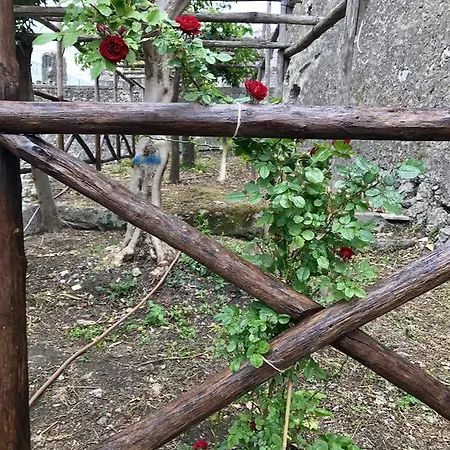 펜션 Le Due Porte 마이오리