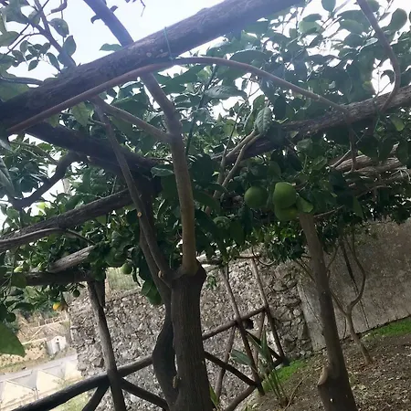 펜션 Le Due Porte 마이오리