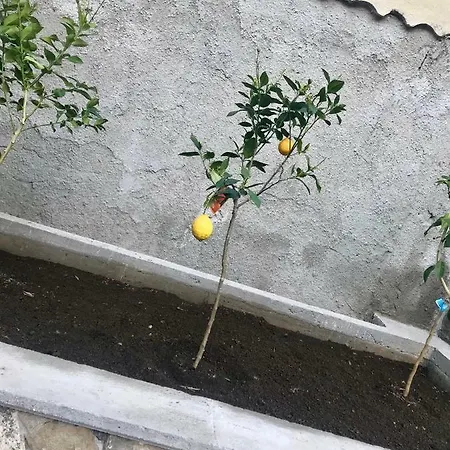 Le Due Porte 마이오리